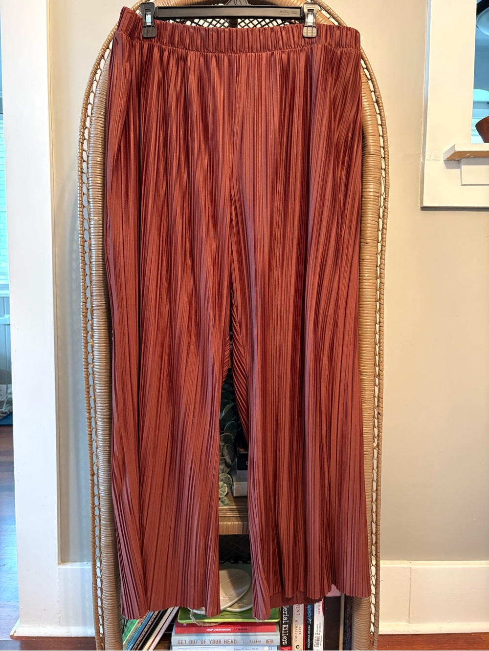 Women’s Pleated Wide-Leg Pants - Rust